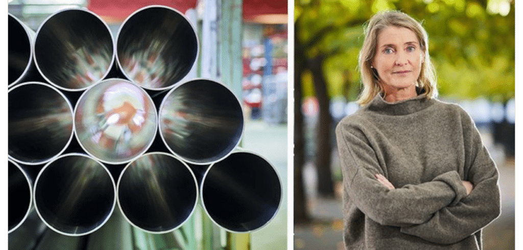 Den svenska järn- och stålindustrin har siktet inställt på att klara omställningen. Nu är det dags för politiken att leverera, säger Annika Roos, vd på Jernkontoret. Foto: Pia Nordlander, Bildn